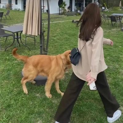 我和我的小黑豹高清封面